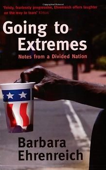 Going to Extremes: Notes from a Divided Nation