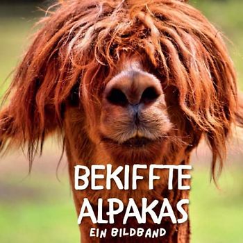 Bekiffte Alpakas