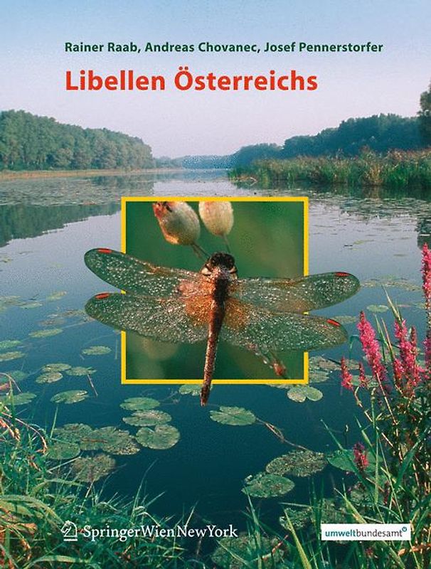 Libellen Österreichs