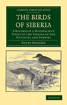 The Birds of Siberia
