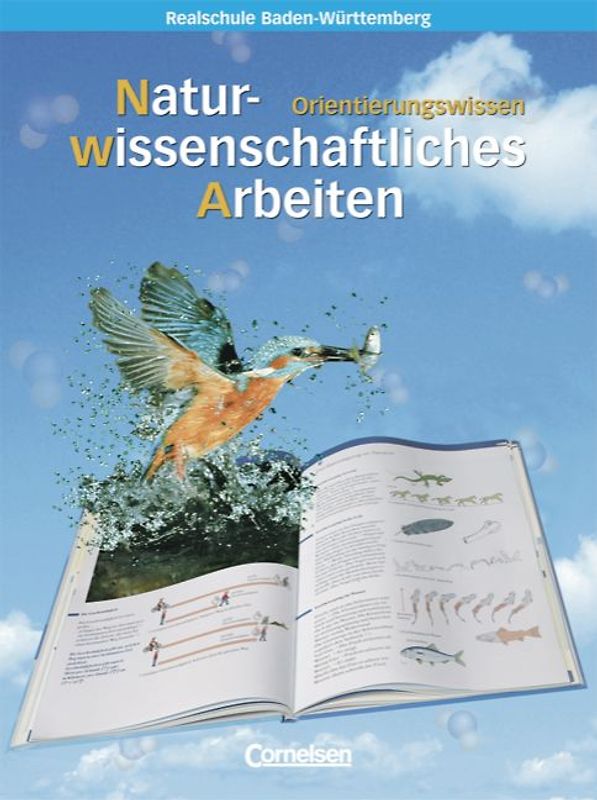 Naturwissenschaftliches Arbeiten. Realschule Baden-Württemberg / Band 1-3 - Orientierungswissen