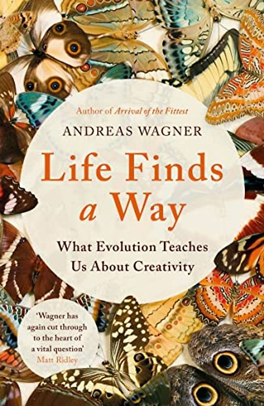 Life Finds a Way: What Evolution Teaches Us About Creativity