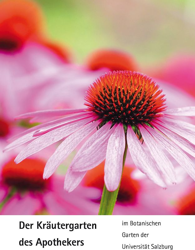 Der Kräutergarten des Apothekers