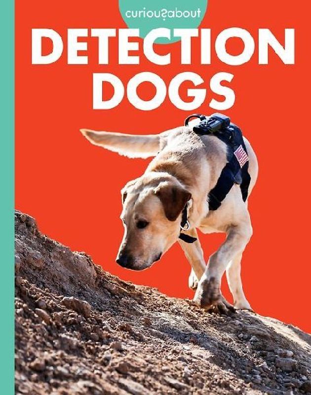 Curious about Detection Dogs