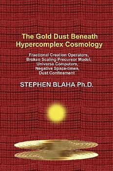 The Gold Dust Beneath Hypercomplex Cosmology