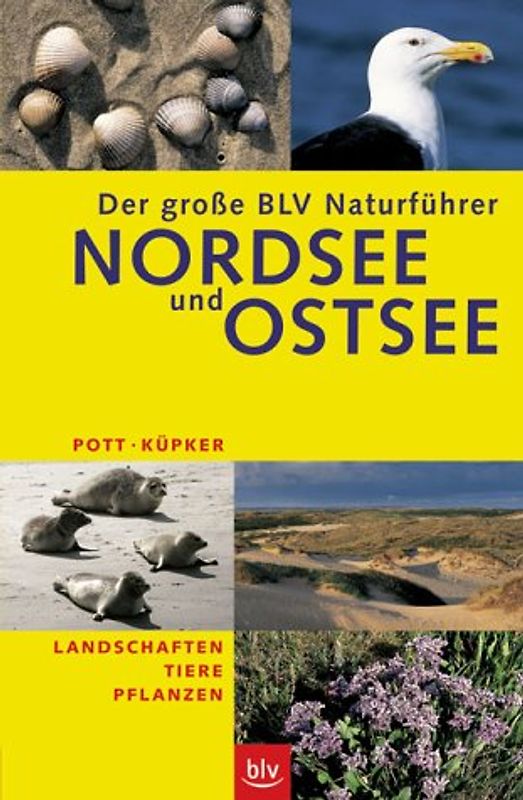 Der grosse BLV Naturführer Nordsee und Ostsee
