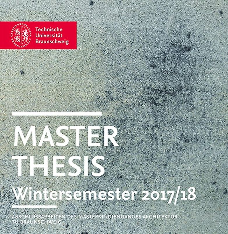 Master Thesis