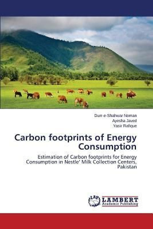 Carbon footprints of Energy Consumption