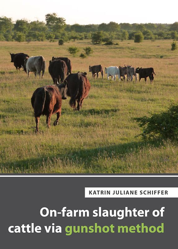 On-farm slaughter of cattle via gunshot method