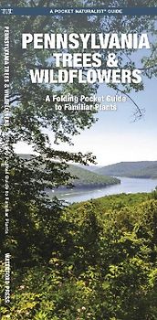 Pennsylvania Trees & Wildflowers