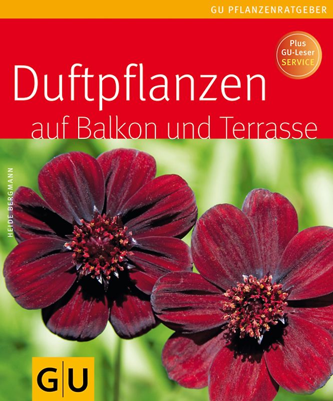 Duftpflanzen für Balkon und Terrasse
