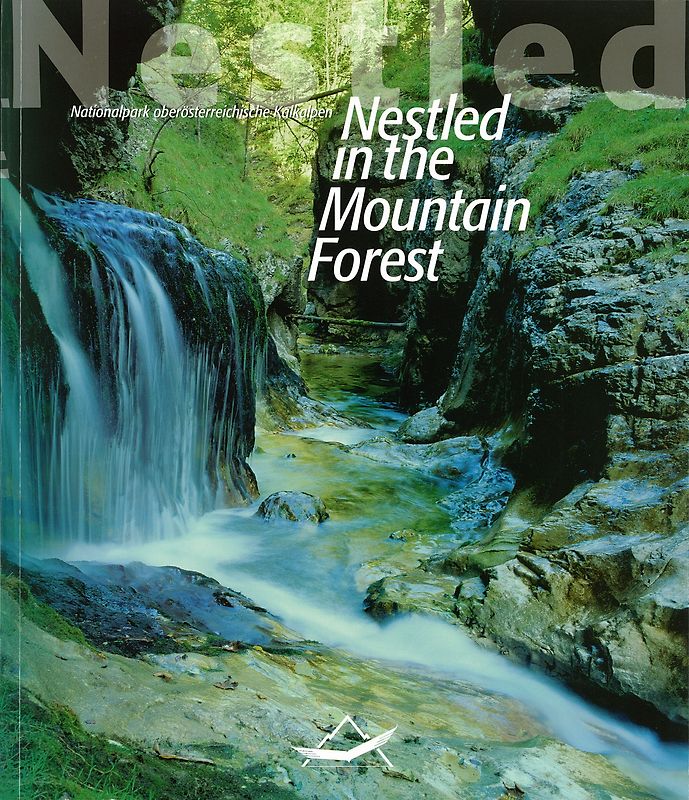 Nestled in the mountain forest