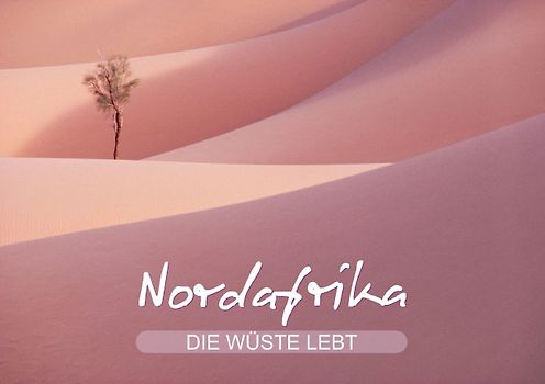 Die Wüste lebt – Nordafrika (Tischaufsteller DIN A5 quer)