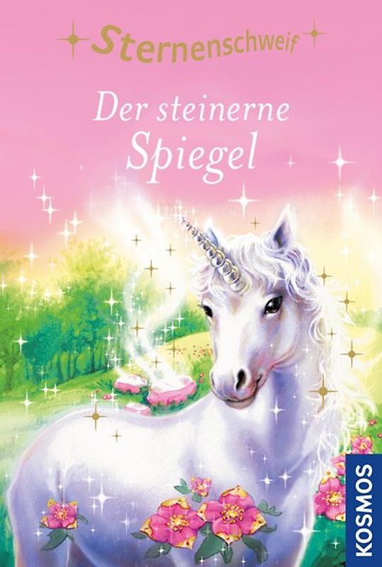 Sternenschweif, 3, Der steinerne Spiegel