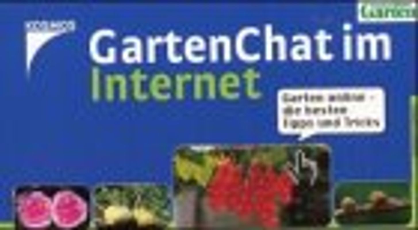 Gartenchat im Internet. Garten online - die besten Tipps und Tricks