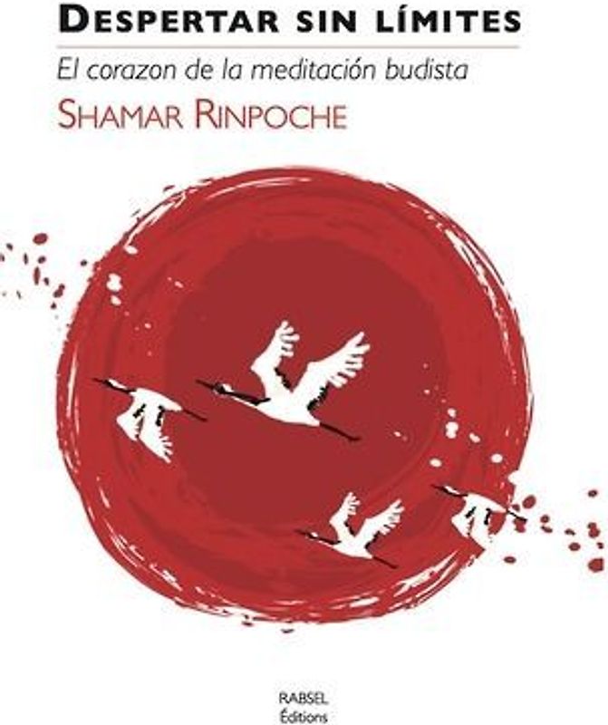 Despertar Sin Limites