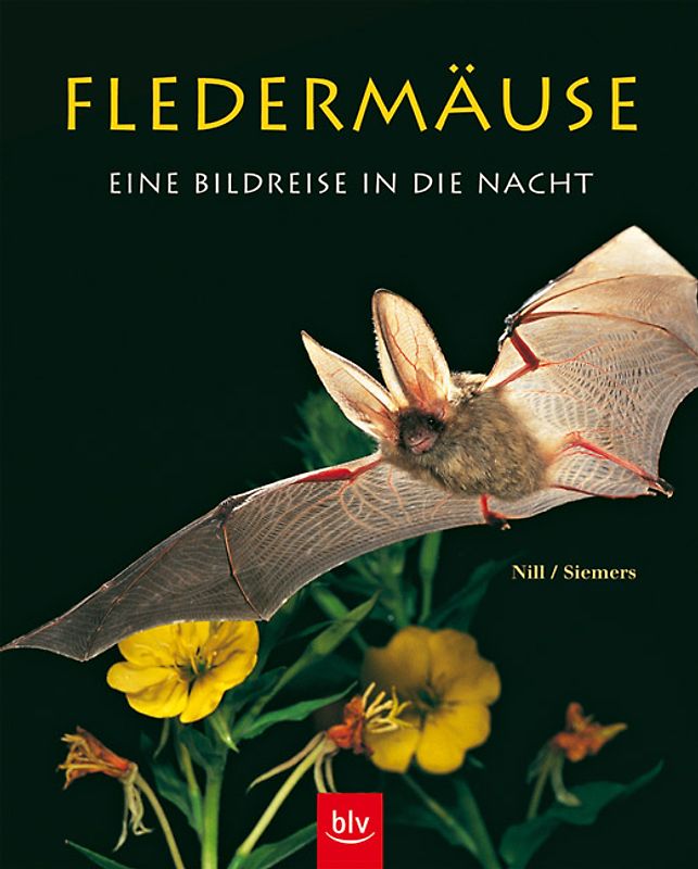 Fledermäuse - eine Bildreise in die Nacht