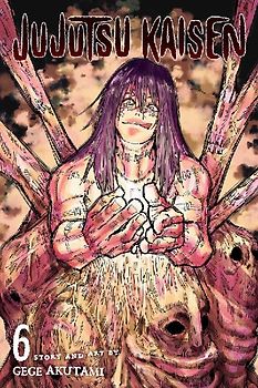 Jujutsu Kaisen, Vol. 6