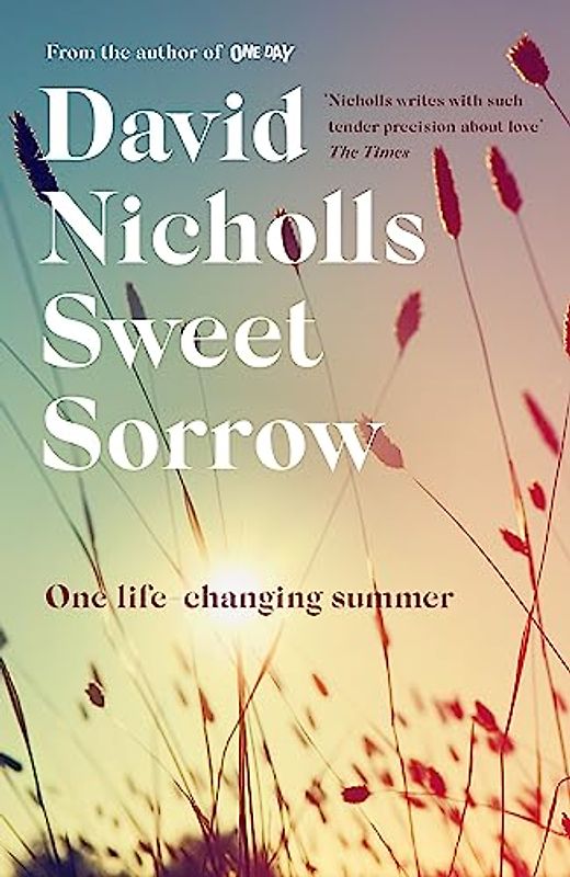 Sweet Sorrow: the Sunday Times bestseller from the author of One Day