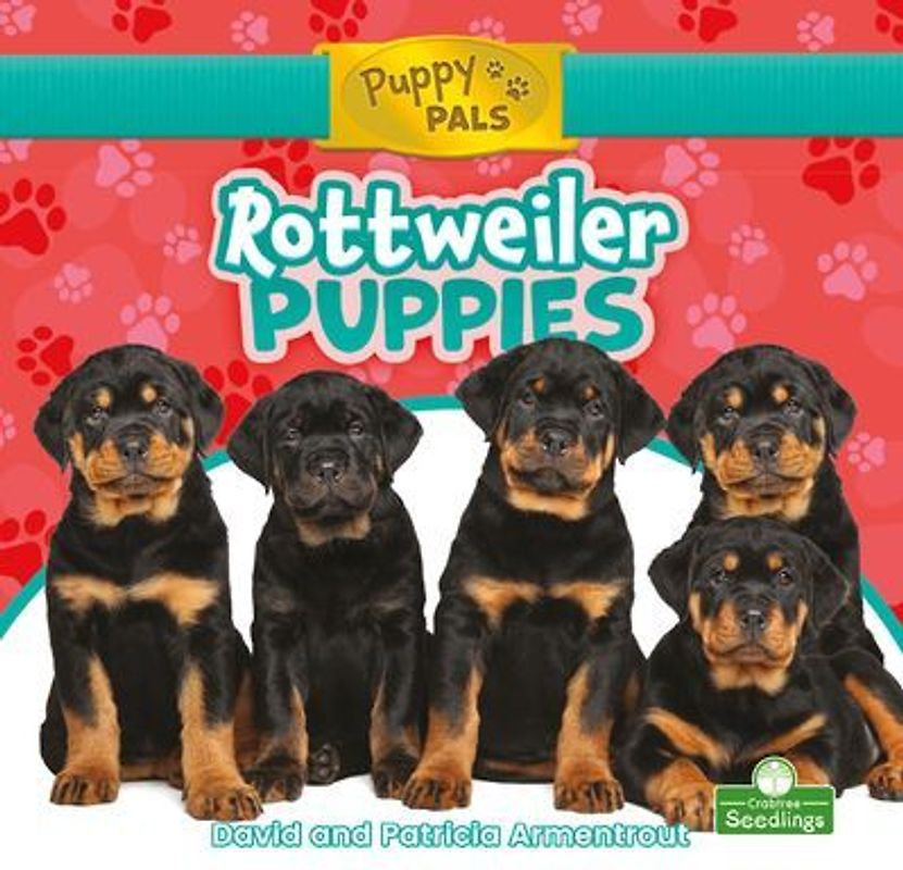Rottweiler Puppies