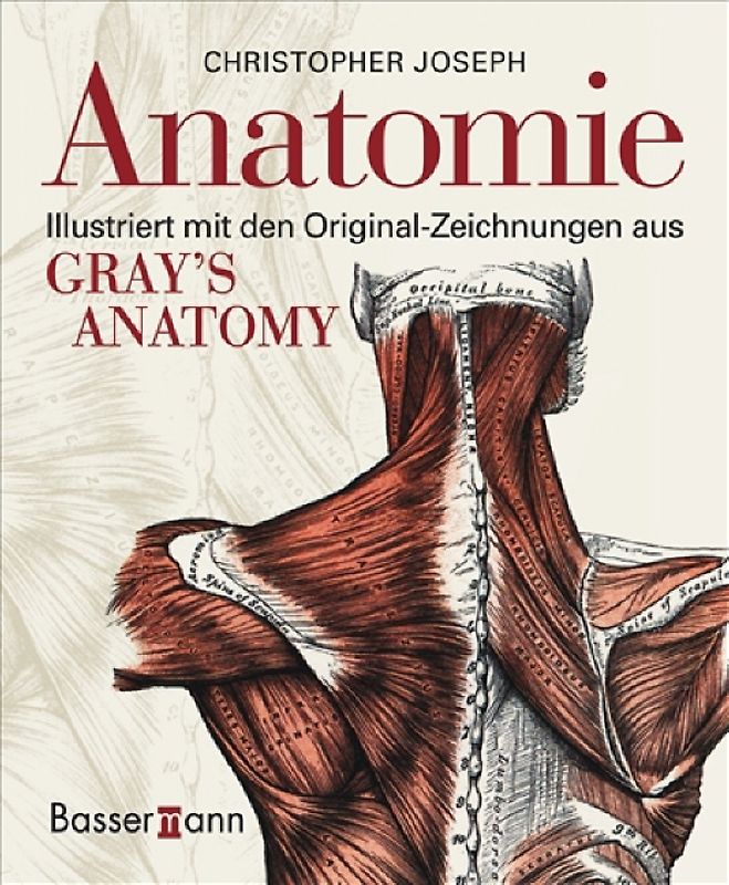Anatomie
