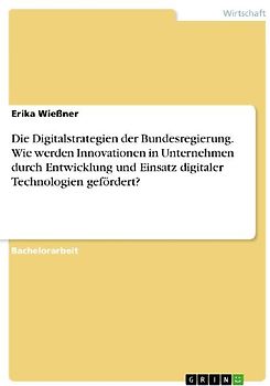 Die Digitalstrategien der Bundesregierung. Wie werden Innovationen in Unternehmen durch Entwicklung und Einsatz digitaler Technologien gefördert?