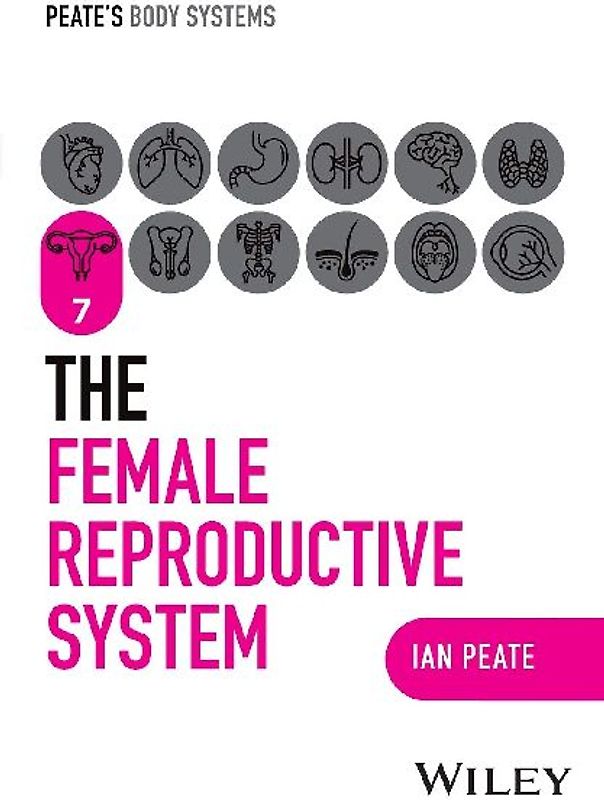 The Female Reproductive System