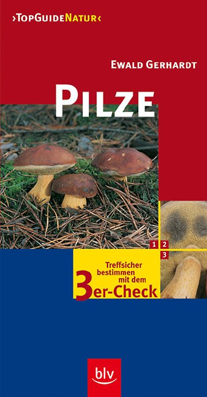 Pilze