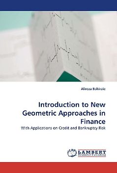 Introduction to New Geometric Approaches in Finance