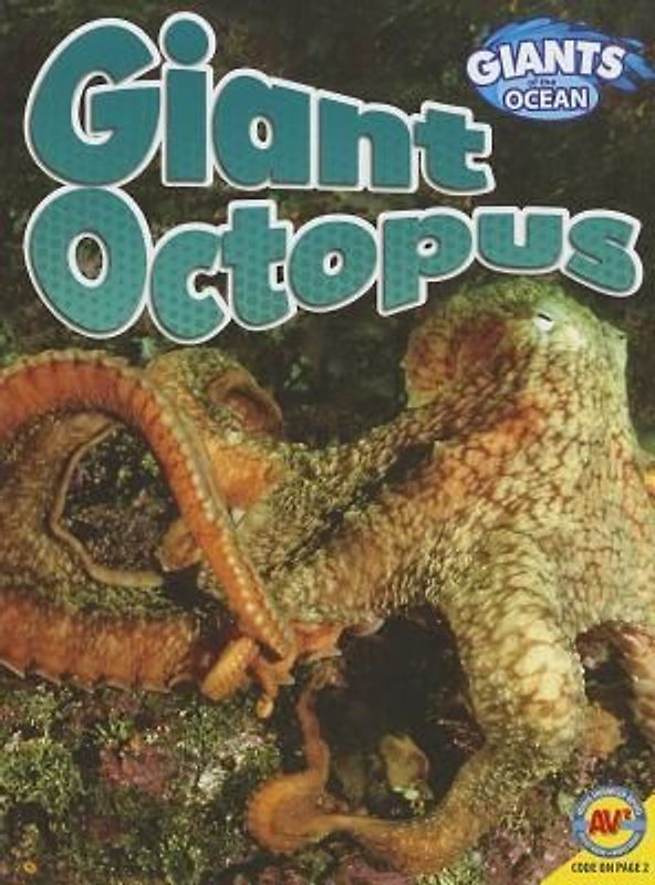 Giant Octopus