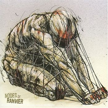 Nodes of Ranvier - Nodes of Ranvier
