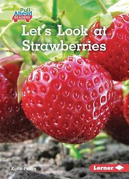 Let's Look at Strawberries