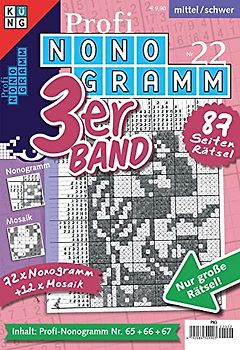 Profi-Nonogramm 3er-Band Nr. 22