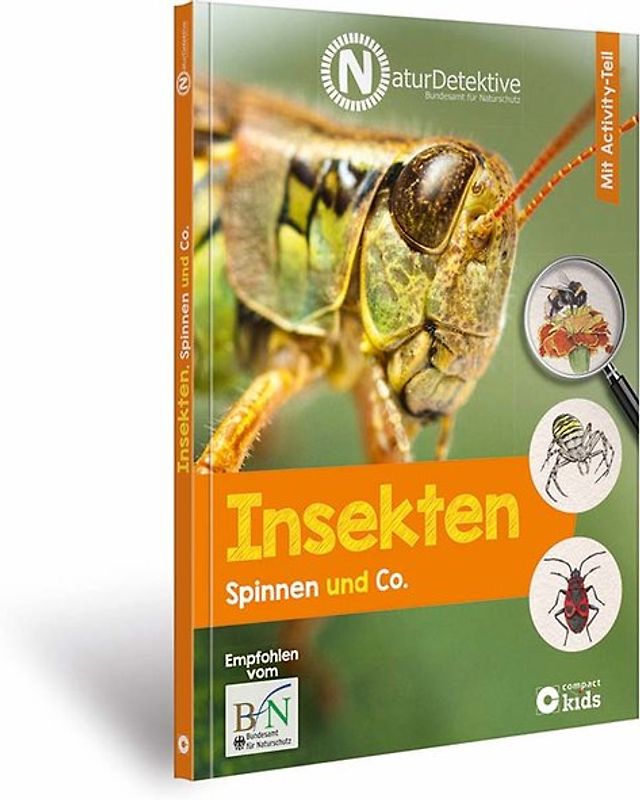 Insekten, Spinnen und Co.
