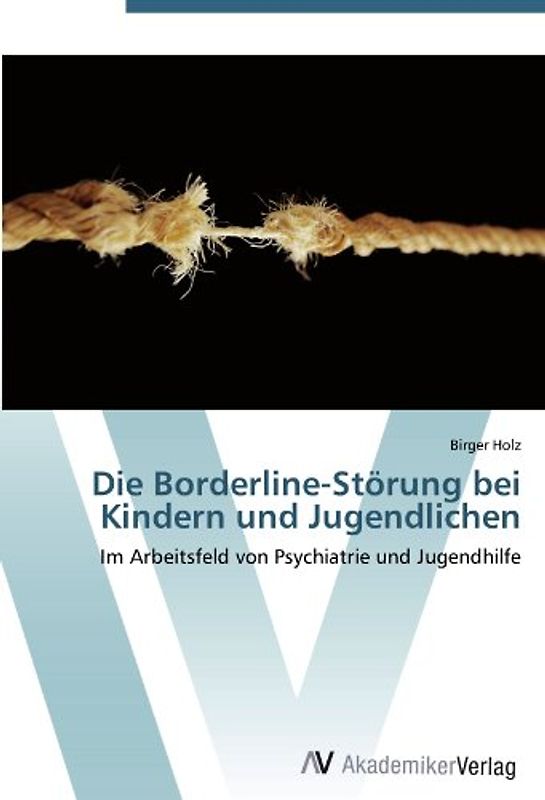 Die Borderline-Störung bei Kindern und Jugendlichen: Im Arbeitsfeld von Psychiatrie und Jugendhilfe - Holz, Birger