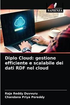 Diplo Cloud: gestione efficiente e scalabile dei dati RDF nel cloud