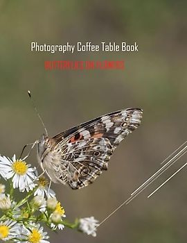 BUTTERFLIES ON FLOWERS Photography Coffee Table Book: BUTTERFLIES ON FLOWERS Photography Coffee Table Book for All: An Amazing Group Of Pictures For ... Images (8.5"*11") Paperback March 18,2023 .