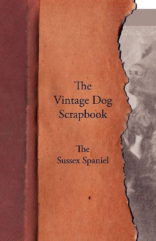 The Vintage Dog Scrapbook - The Sussex Spaniel