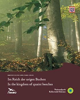 Im Reich der urigen Buchen
