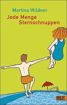 Jede Menge Sternschnuppen