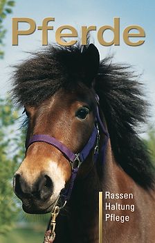Pferde