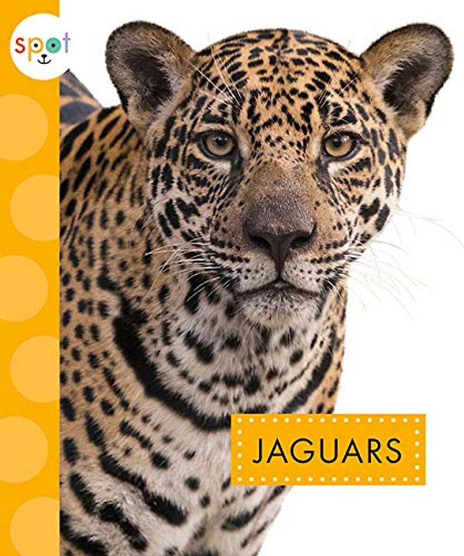 Jaguars