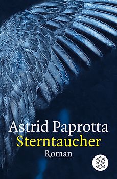 Sterntaucher. Roman