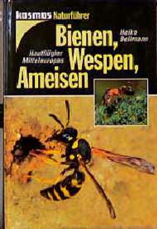 Bienen, Wespen, Ameisen. Hautflügler Mitteleuropas