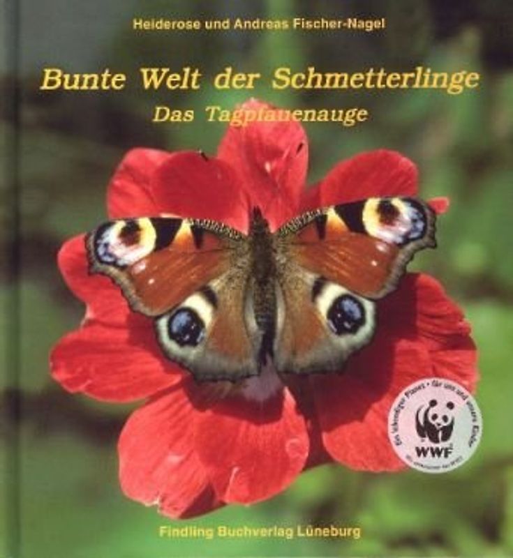 Bunte Welt der Schmetterlinge