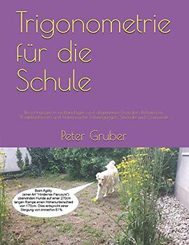 Trigonometrie für die Schule: Berechnungen in rechtwinkligen und allgemeinen Dreiecken, Einheitskreis, Winkelfunktionen und Harmonische Schwingungen, Sinussatz und Cosinussatz