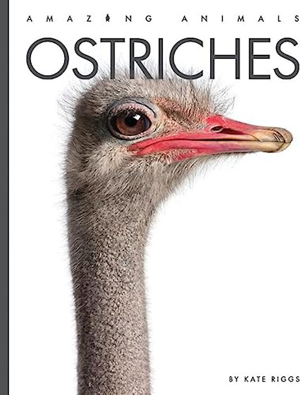 Ostriches