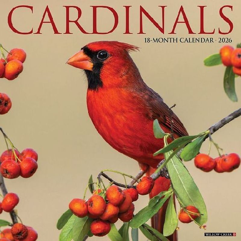 Cardinals 2026 12 X 12 Wall Calendar