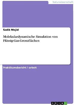 Molekulardynamische Simulation von Flüssig-Gas-Grenzflächen