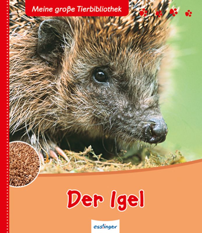 Meine große Tierbibliothek: Der Igel